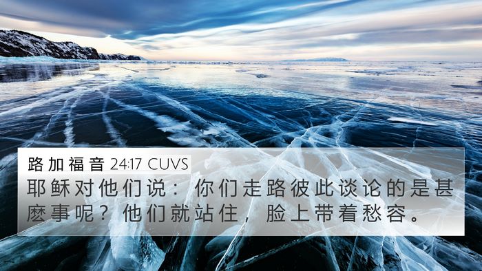 路 加 福 音 24:17 CUVS Bible Verse Image