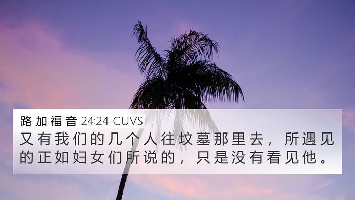 路 加 福 音 24:24 CUVS 4K Wallpaper - 又 有 我 们 的 几 个 人 往 坟 墓 那 - 4K Wallpaper Bible Verse