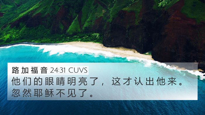 路 加 福 音 24:31 CUVS Bible Verse Image