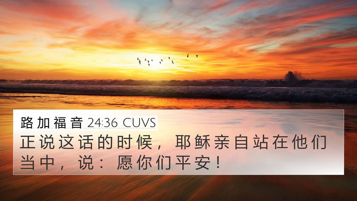 路 加 福 音 24:36 CUVS Bible Verse Image