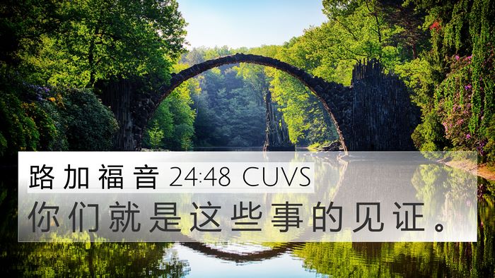 路 加 福 音 24:48 CUVS Bible Verse Image