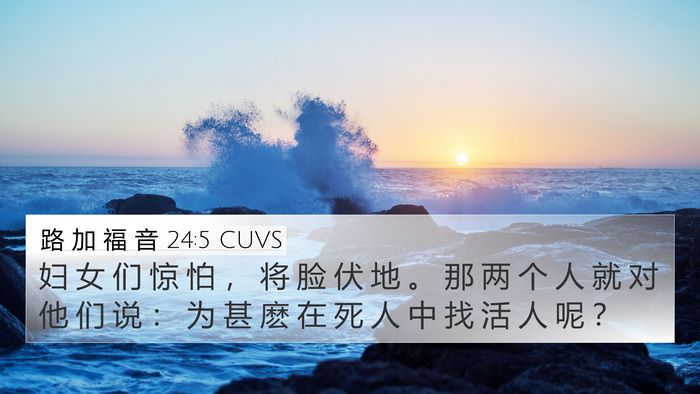 路 加 福 音 24:5 CUVS 4K Wallpaper - 妇 女 们 惊 怕 ， 将 脸 伏 地 。 那 - 4K Wallpaper Bible Verse
