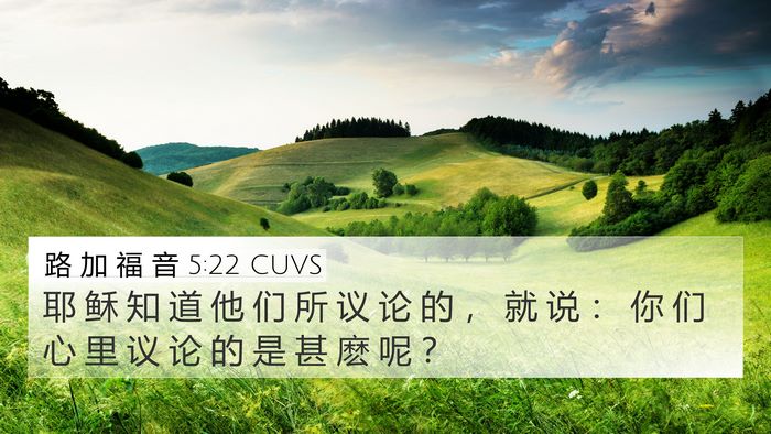 路 加 福 音 5:22 CUVS 4K Wallpaper - 耶 稣 知 道 他 们 所 议 论 的 ， 就 - 4K Wallpaper Bible Verse