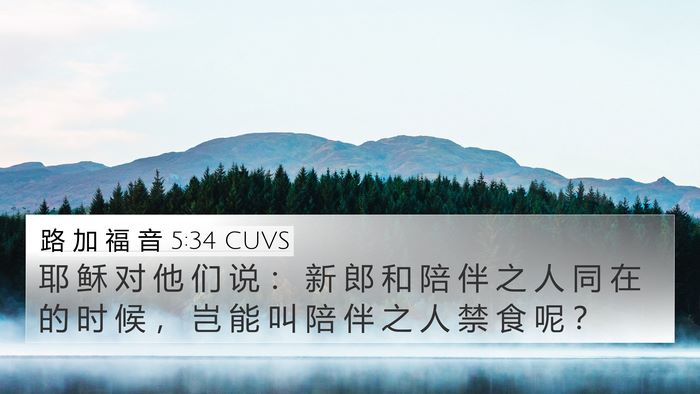 路 加 福 音 5:34 CUVS 4K Wallpaper - 耶 稣 对 他 们 说 ： 新 郎 和 陪 伴 - 4K Wallpaper Bible Verse