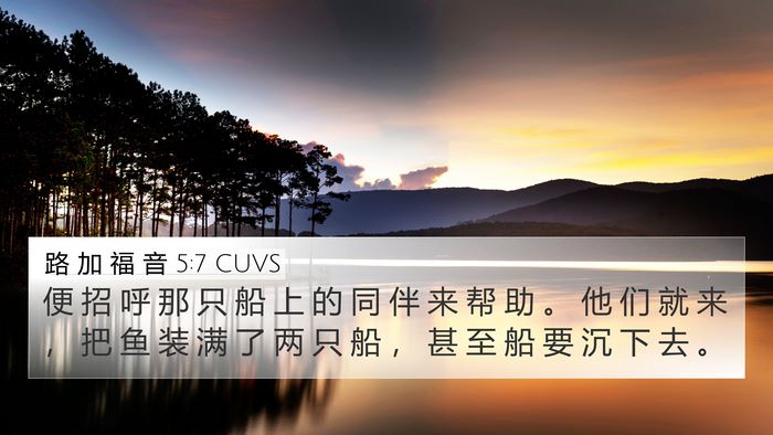 路 加 福 音 5:7 CUVS Bible Verse Image