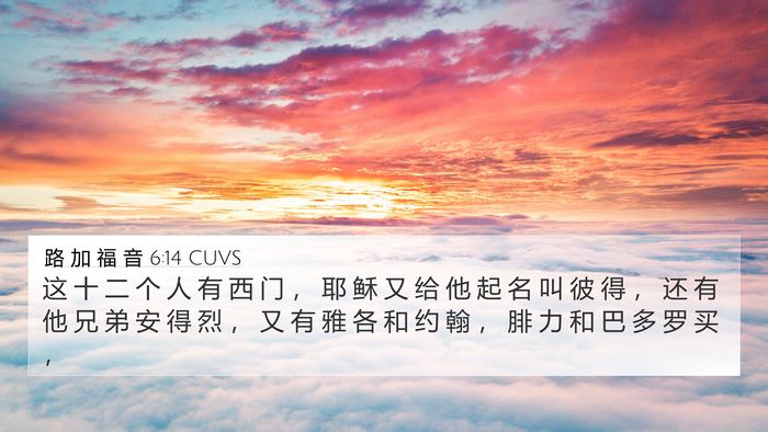 路 加 福 音 6:14 CUVS Bible Verse Image