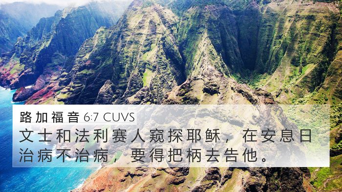 路 加 福 音 6:7 CUVS Bible Verse Image