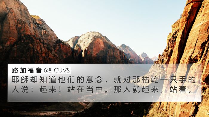 路 加 福 音 6:8 CUVS Bible Verse Image