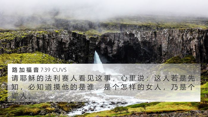 路 加 福 音 7:39 CUVS Bible Verse Image