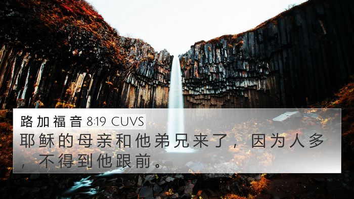 路 加 福 音 8:19 CUVS Bible Verse Image