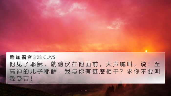 路 加 福 音 8:28 CUVS Bible Verse Image