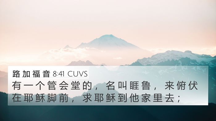 路 加 福 音 8:41 CUVS Bible Verse Image
