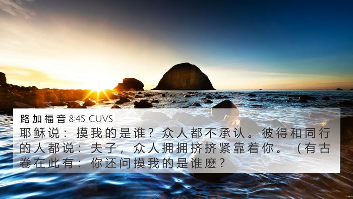 路 加 福 音 8:45 CUVS Bible Verse Image