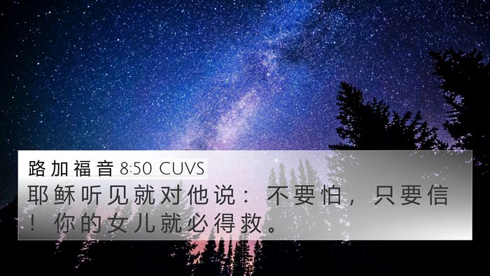 路 加 福 音 8:50 CUVS Bible Verse Image