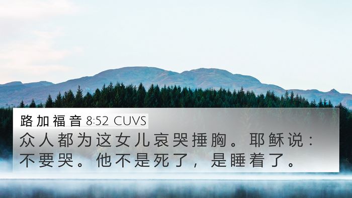 路 加 福 音 8:52 CUVS Bible Verse Image