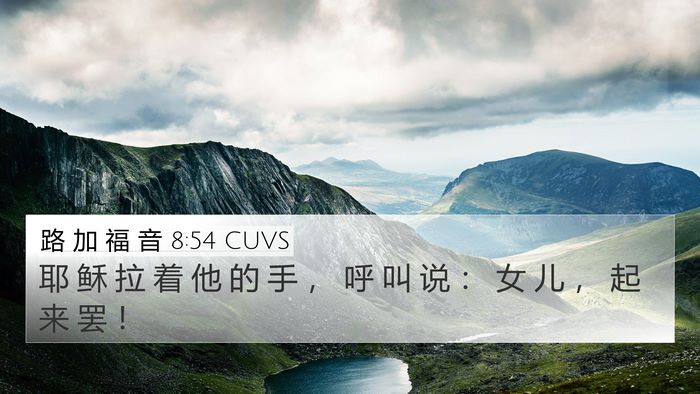路 加 福 音 8:54 CUVS Bible Verse Image