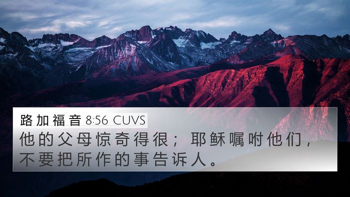 路 加 福 音 8:56 CUVS Bible Verse Image
