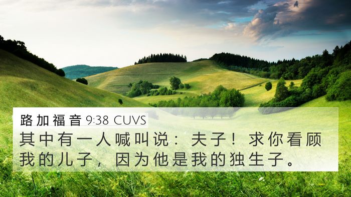 路 加 福 音 9:38 CUVS Bible Verse Image