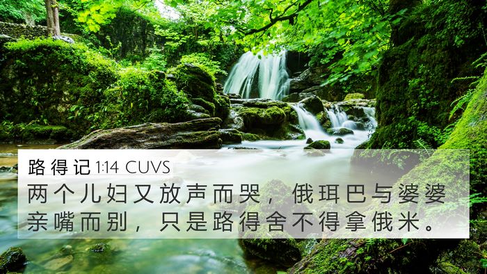 路 得 记 1:14 CUVS Bible Verse Image