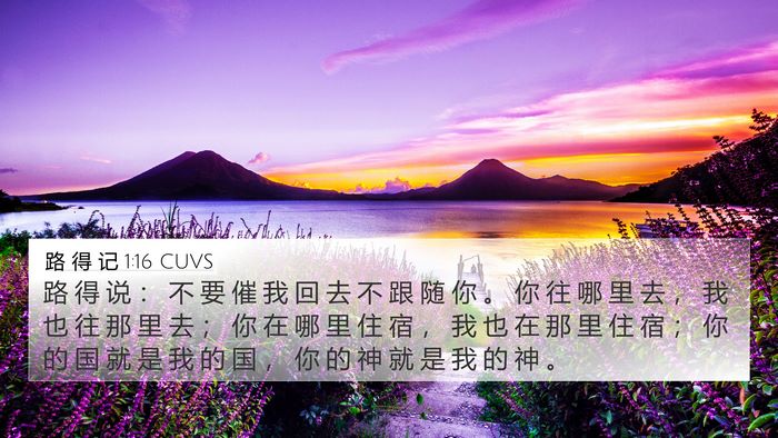 路 得 记 1:16 CUVS Bible Verse Image