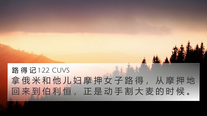 路 得 记 1:22 CUVS Bible Verse Image