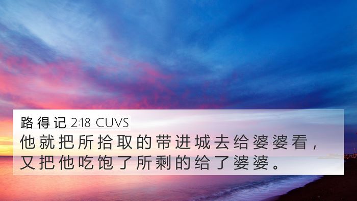 路 得 记 2:18 CUVS 4K Wallpaper - 他 就 把 所 拾 取 的 带 进 城 去 给 - 4K Wallpaper Bible Verse