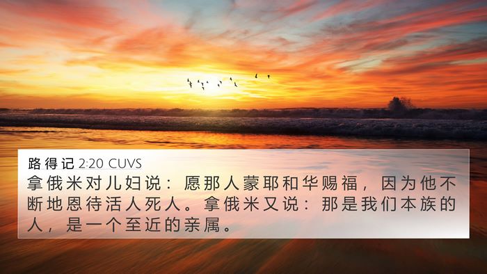 路 得 记 2:20 CUVS Bible Verse Image