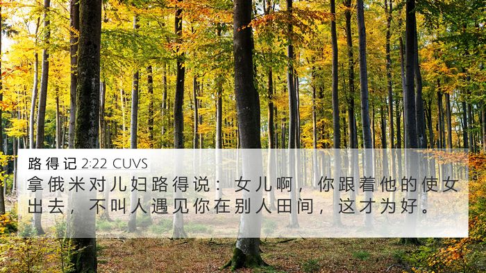 路 得 记 2:22 CUVS Bible Verse Image