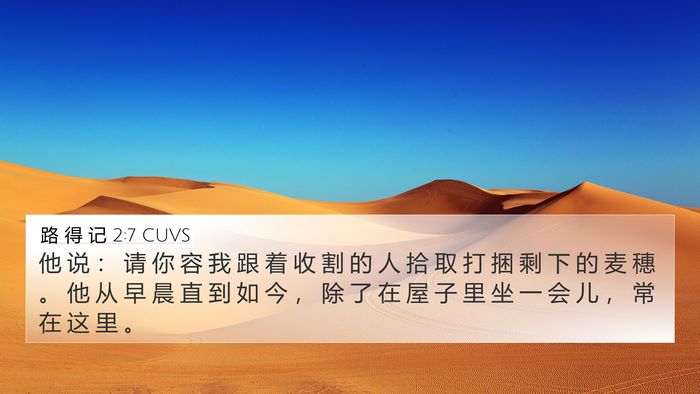 路 得 记 2:7 CUVS Bible Verse Image