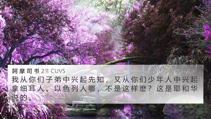 阿 摩 司 书 2:11 CUVS Bible Verse Image