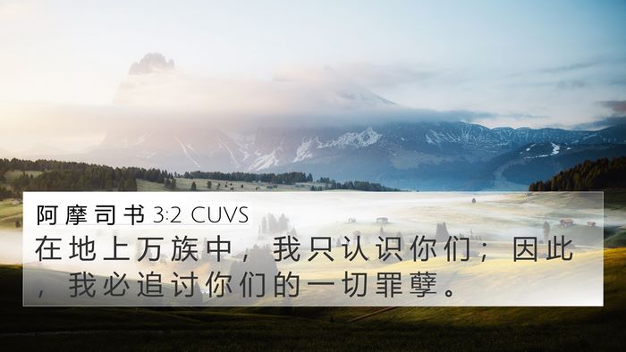 阿 摩 司 书 3:2 CUVS Bible Verse Image