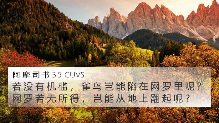 阿 摩 司 书 3:5 CUVS Bible Verse Image