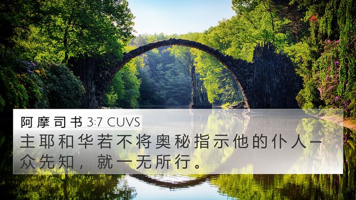 阿 摩 司 书 3:7 CUVS Bible Verse Image