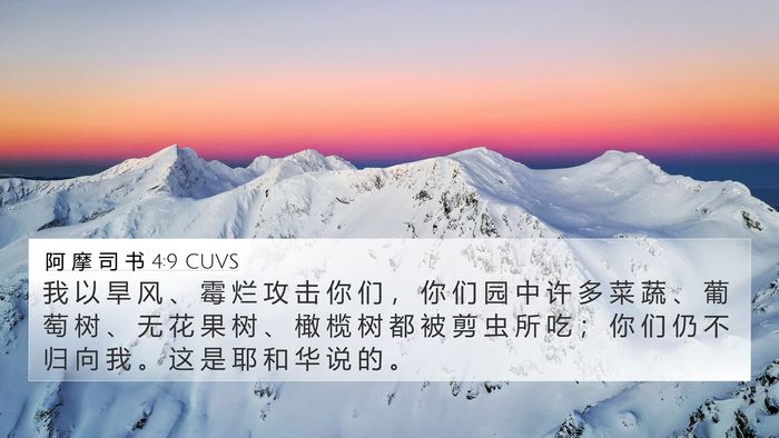 阿 摩 司 书 4:9 CUVS Bible Verse Image