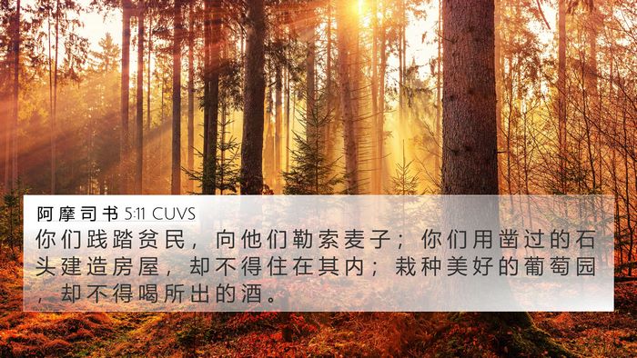 阿 摩 司 书 5:11 CUVS Bible Verse Image
