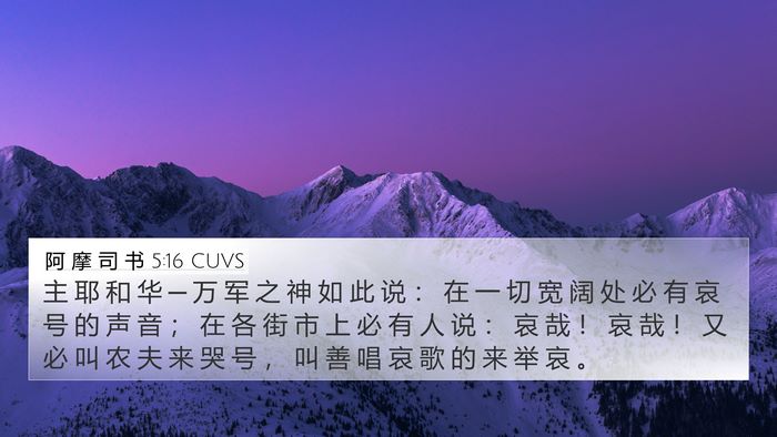 阿 摩 司 书 5:16 CUVS Bible Verse Image