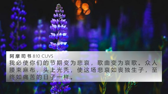 阿 摩 司 书 8:10 CUVS Bible Verse Image