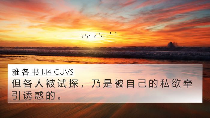 雅 各 书 1:14 CUVS Bible Verse Image
