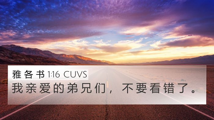 雅 各 书 1:16 CUVS Bible Verse Image