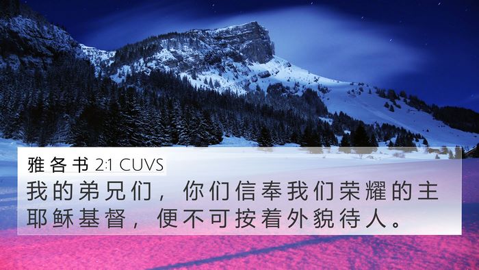 雅 各 书 2:1 CUVS Bible Verse Image