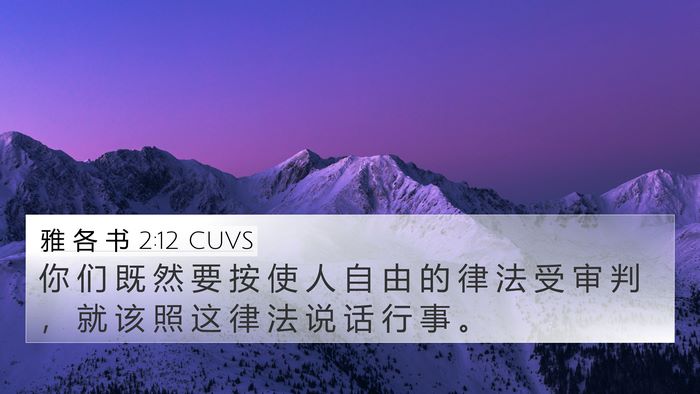 雅 各 书 2:12 CUVS Bible Verse Image
