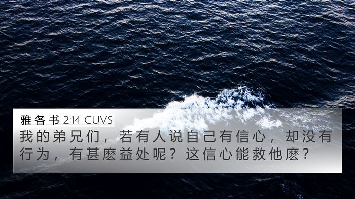 雅 各 书 2:14 CUVS Bible Verse Image