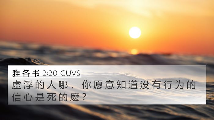 雅 各 书 2:20 CUVS Bible Verse Image