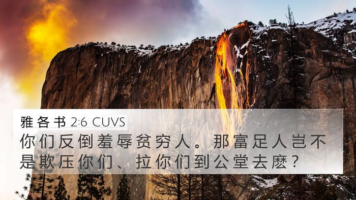 雅 各 书 2:6 CUVS Bible Verse Image