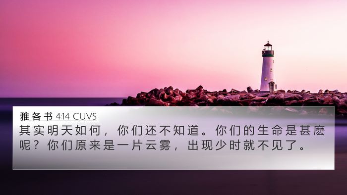 雅 各 书 4:14 CUVS Bible Verse Image