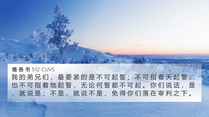 雅 各 书 5:12 CUVS Bible Verse Image