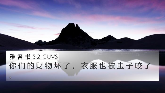 雅 各 书 5:2 CUVS 4K Wallpaper - 你 们 的 财 物 坏 了 ， 衣 服 也 被 - 4K Wallpaper Bible Verse