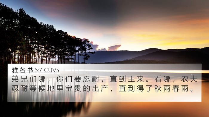 雅 各 书 5:7 CUVS Bible Verse Image