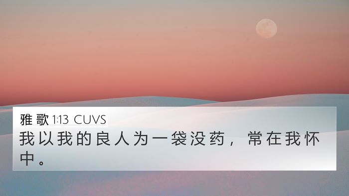 雅 歌 1:13 CUVS Bible Verse Image