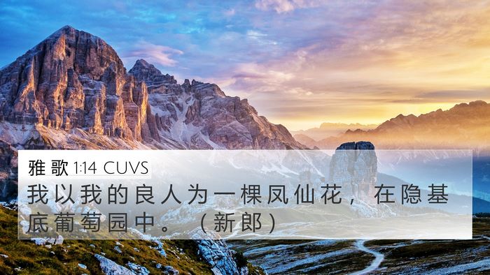 雅 歌 1:14 CUVS Bible Verse Image